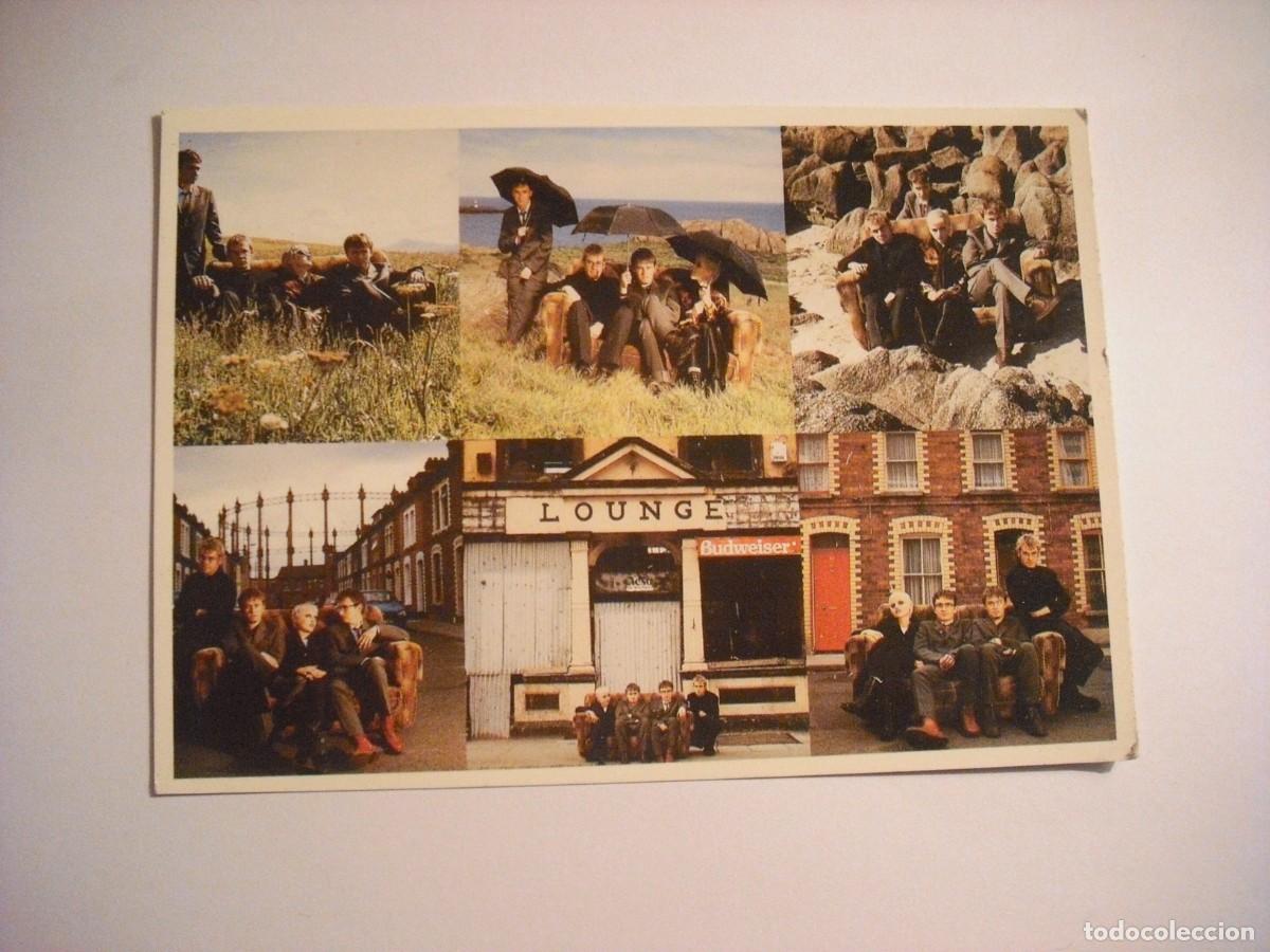 Kino: CRANBERRIES COLLAGE. POSTAL