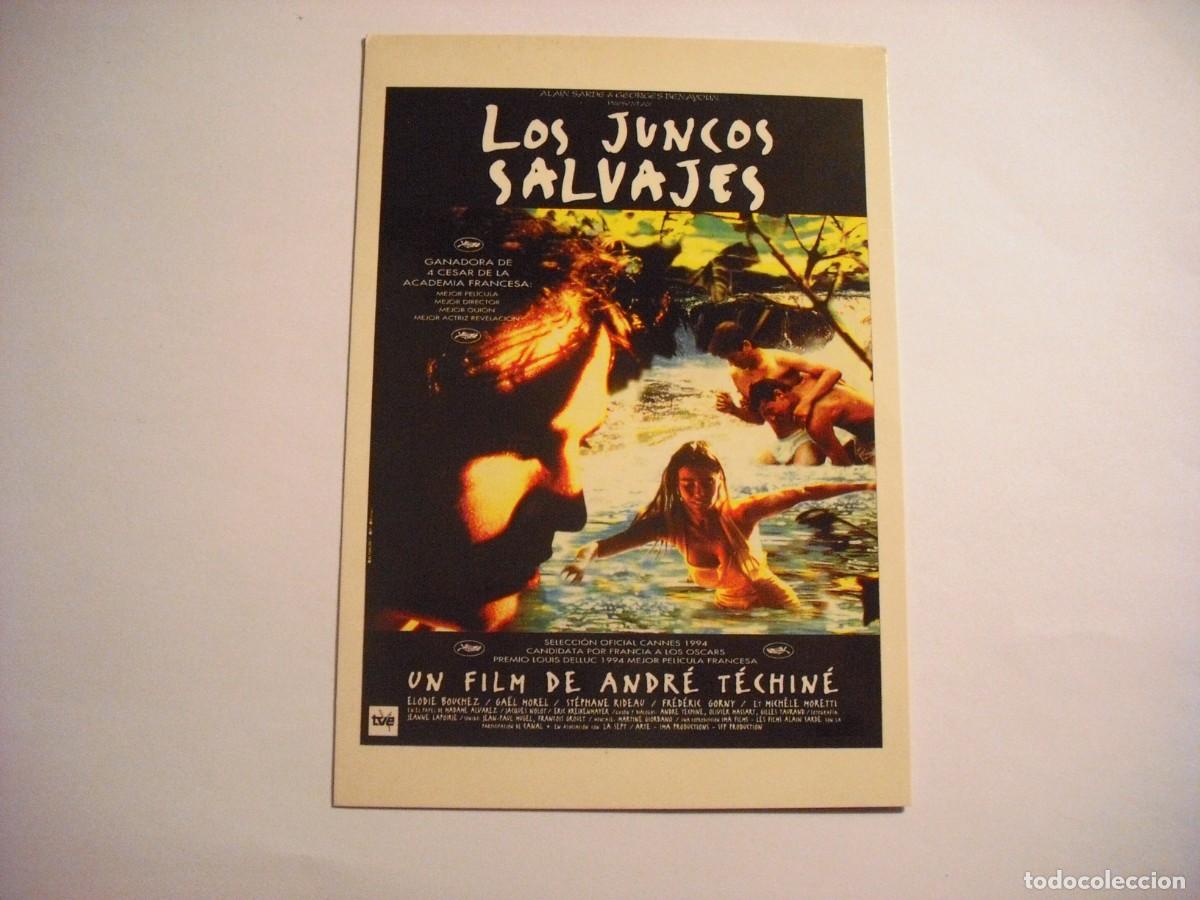 Kino: LOS JUNCOS SALVAJES, POSTAL