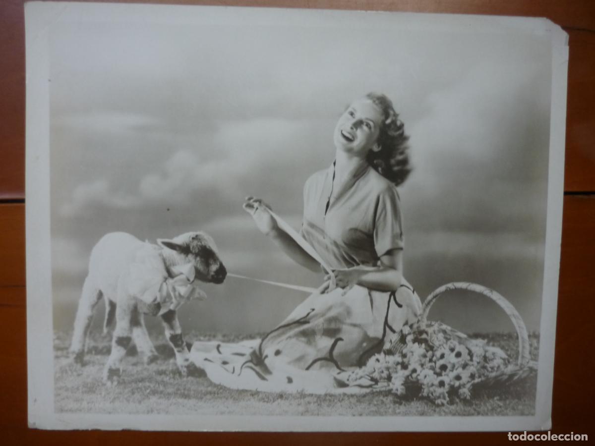 Kino: janet leigh - foto original b/n - hollywood actress