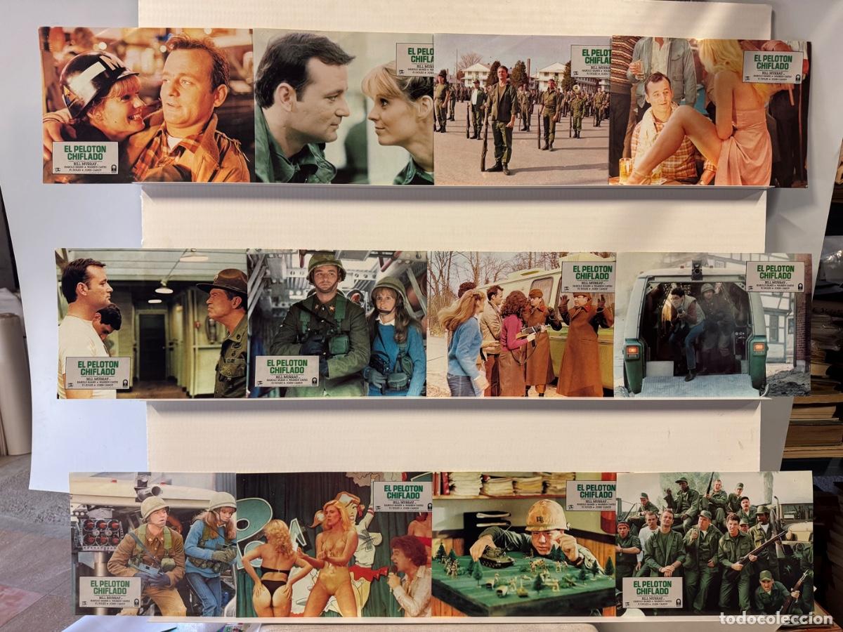 Cine: El peloton chiflado, Bill Murray, 12 fotocromos