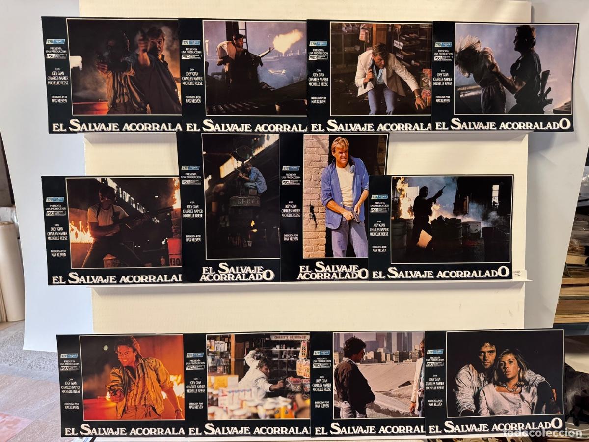 Cinema: El salvaje acorralado, Joey Gian, 12 fotocromos