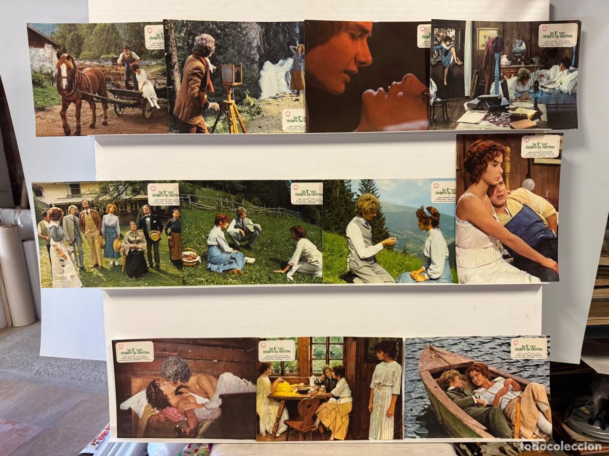 Kino: La 1a vez sobre la hierba, Anne Heywood, 11 fotocromos