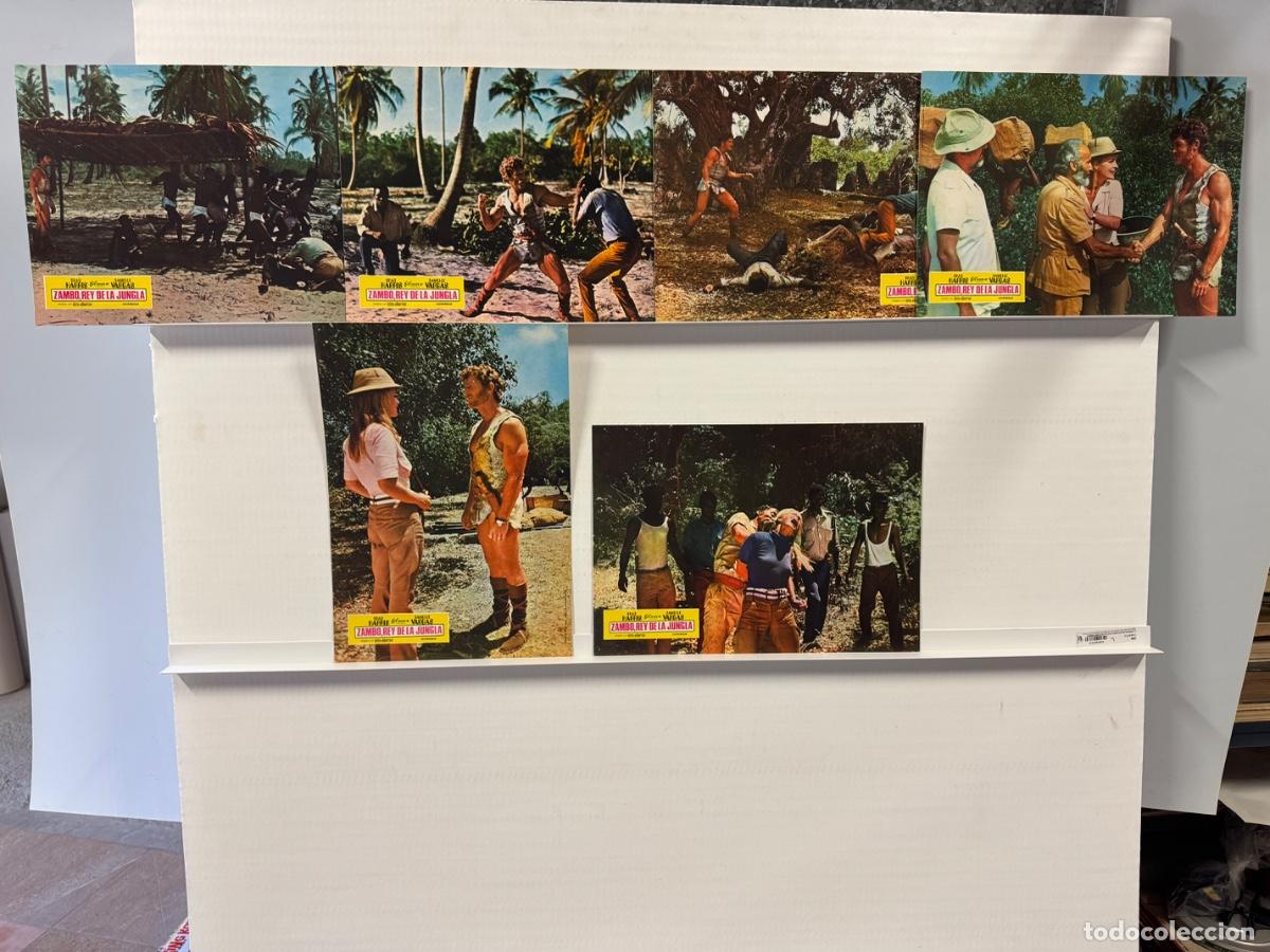 Kino: Zambo rey de la jungla, Brad Harris, 6 fotocromos