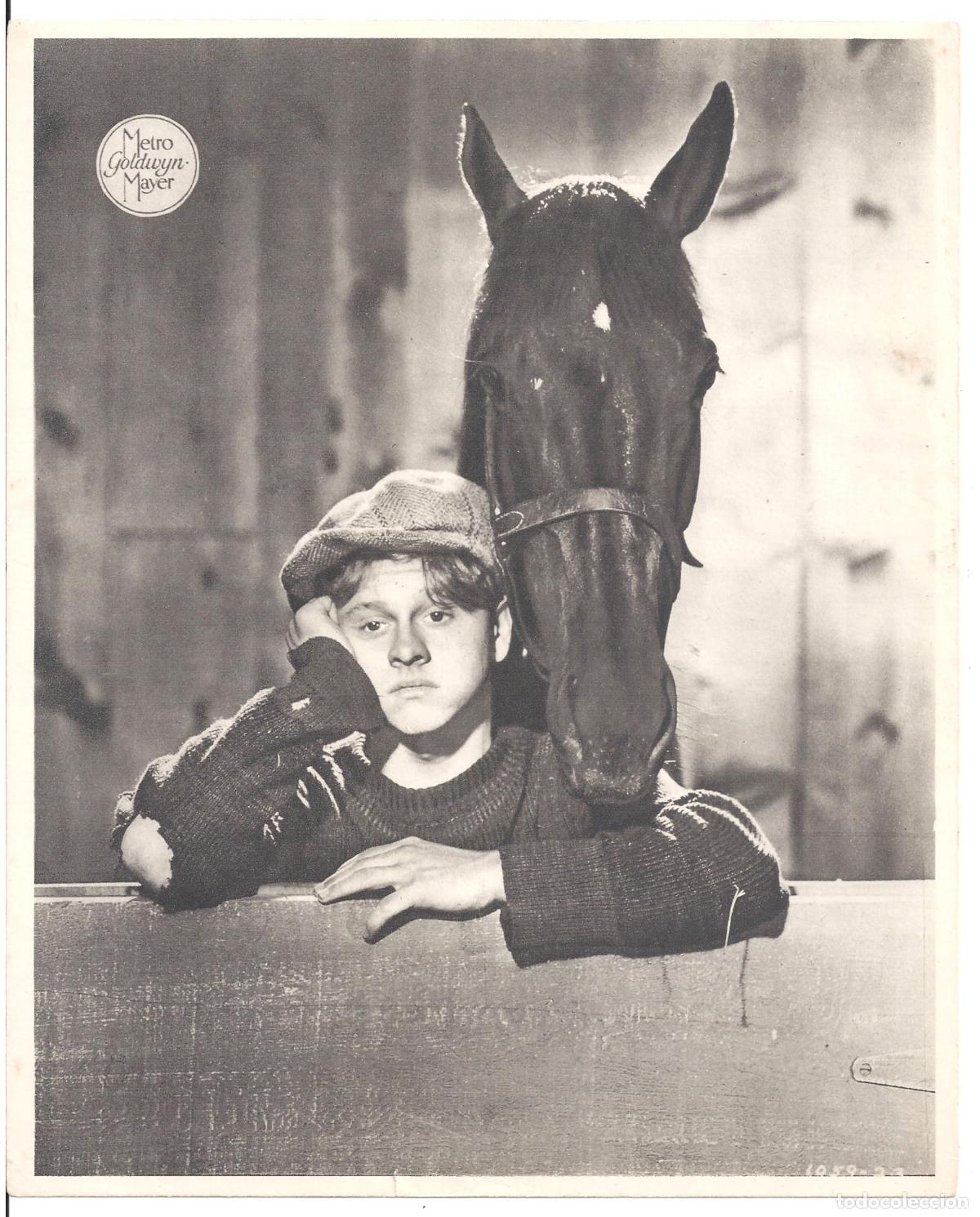 Cinema: F36245 MICKEY ROONEY U&Ntilde;A Y CARNE CABALLO FOTOCROMO B/N ORIGINAL ESPA&Ntilde;OL