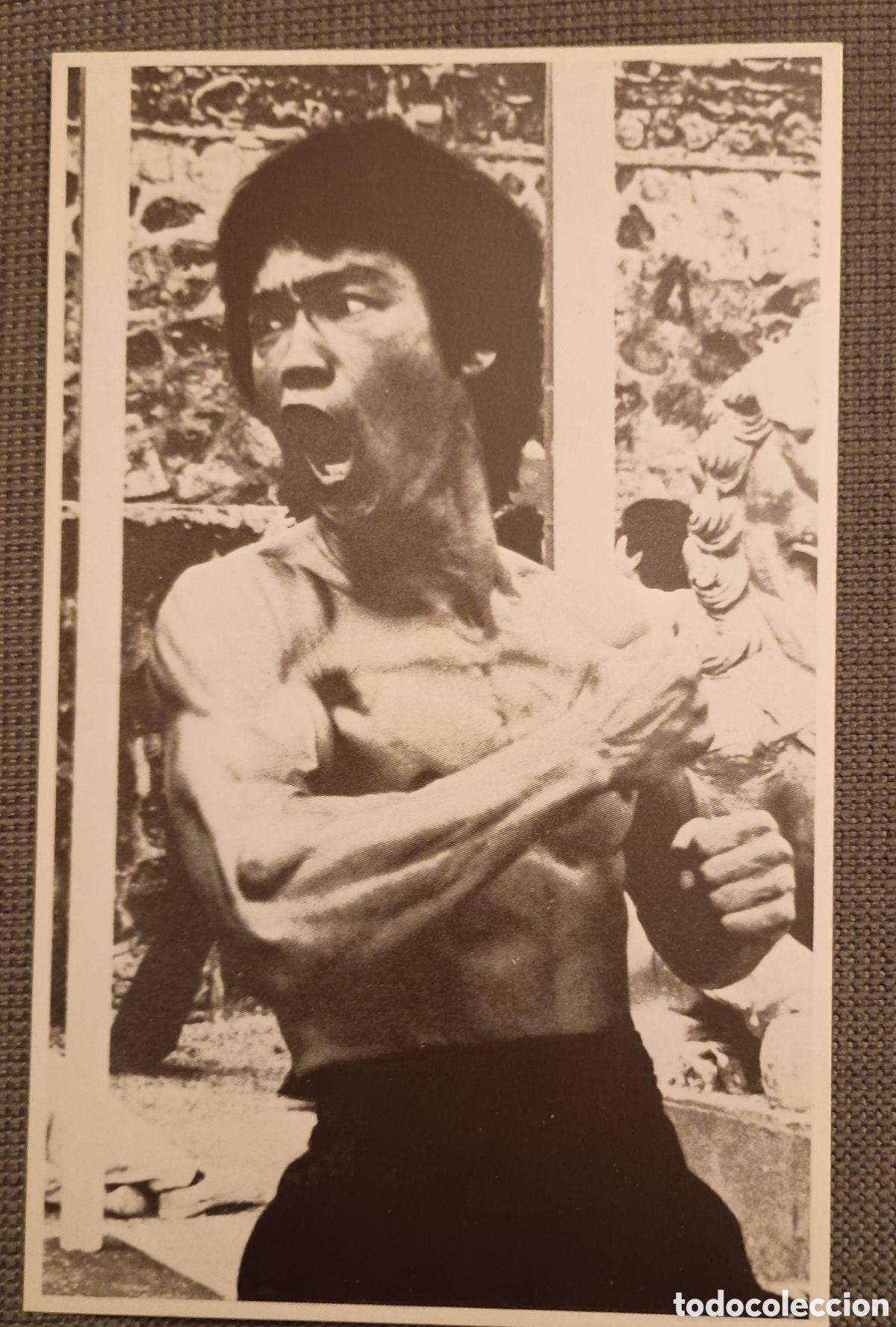 Kino: Bruce Lee. 18,5x11,5cm