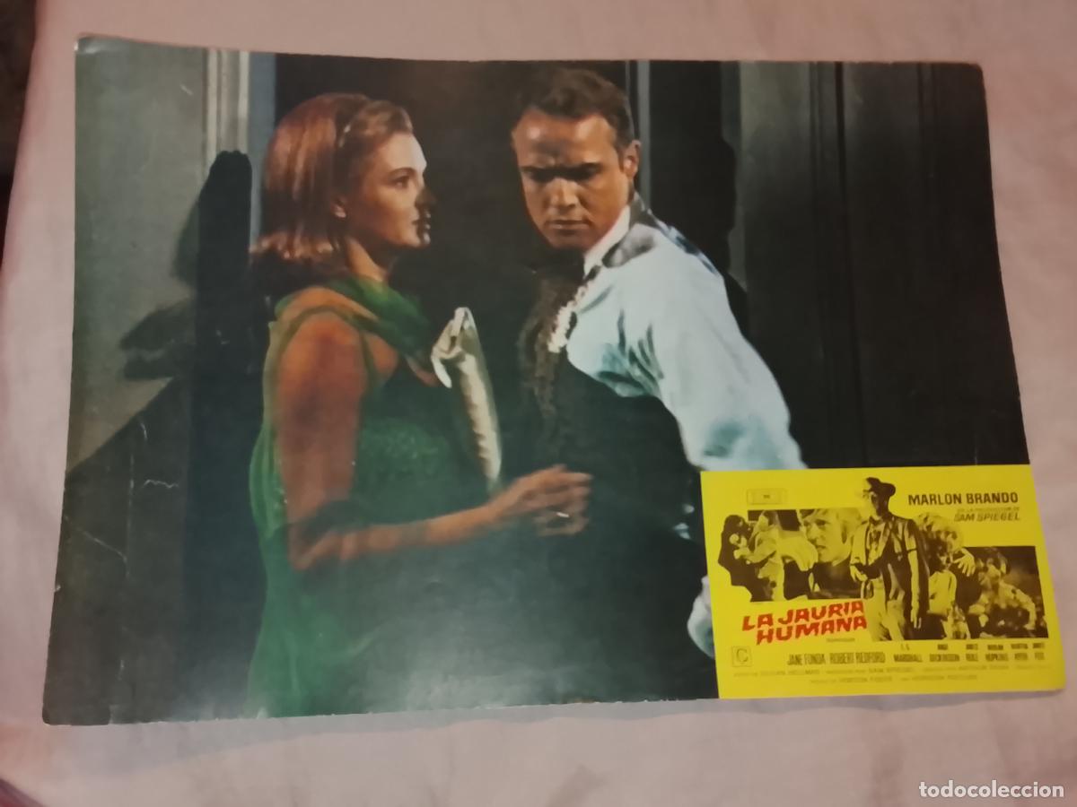 Cine: CARTEL AFICHE FOTOCROMO ORIGINAL - LA JAURIA HUMANA, MARLON BRANDON