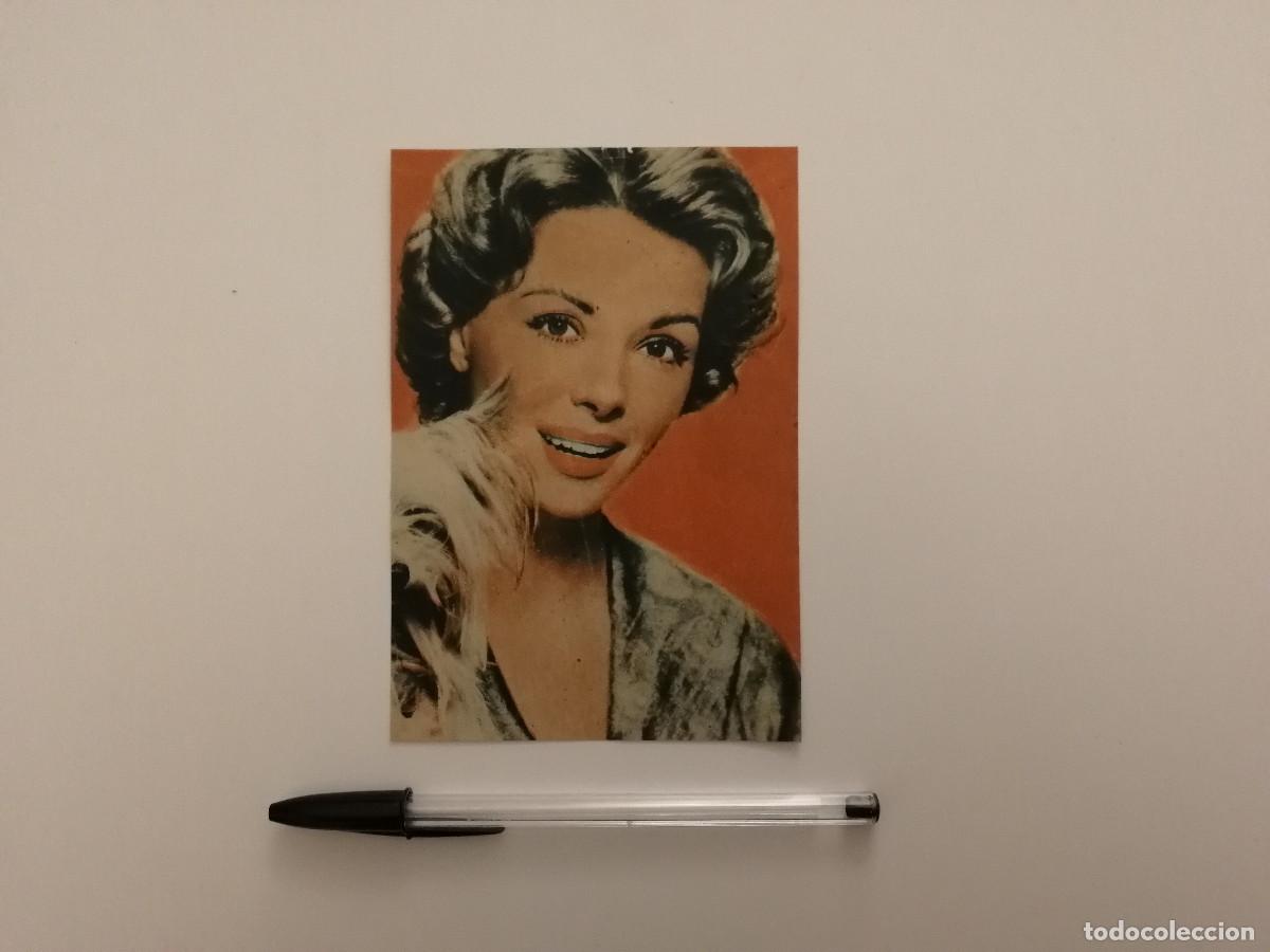 Cin&eacute;ma: TARJETA ACARTONADA -10*15- DANA WYNTER