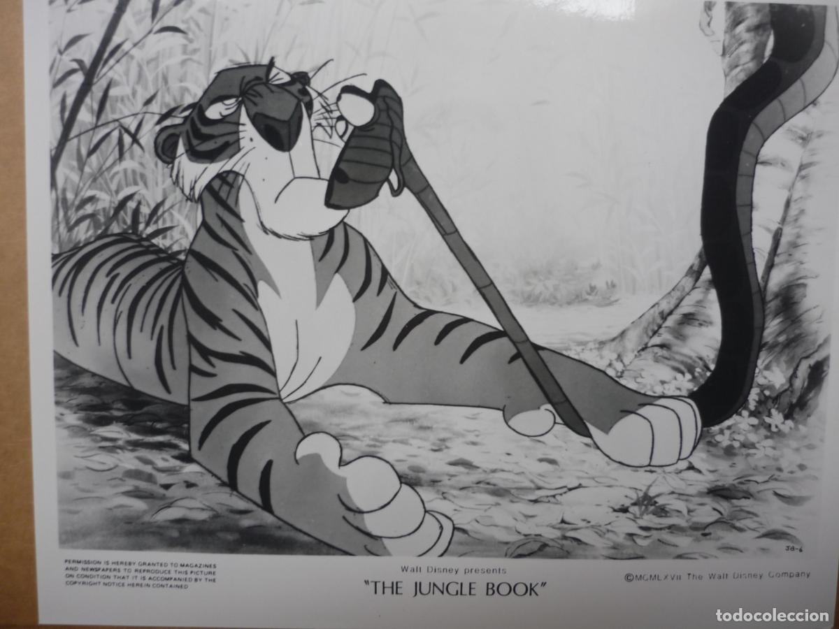 Cine: the jungle book - foto original b/n - el libro de la selva walt disney animacion