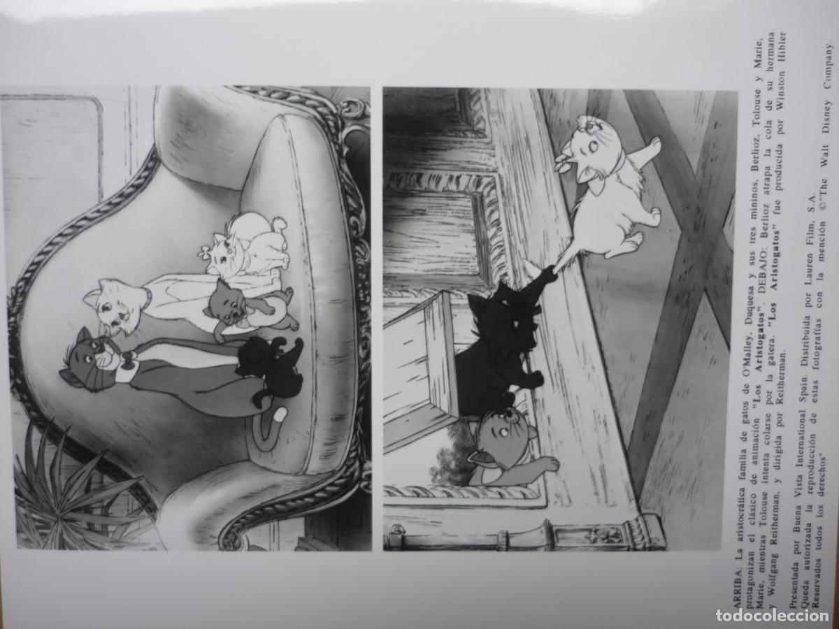 Cine: the aristocats - foto original b/n -los aristogatos walt disney animacion