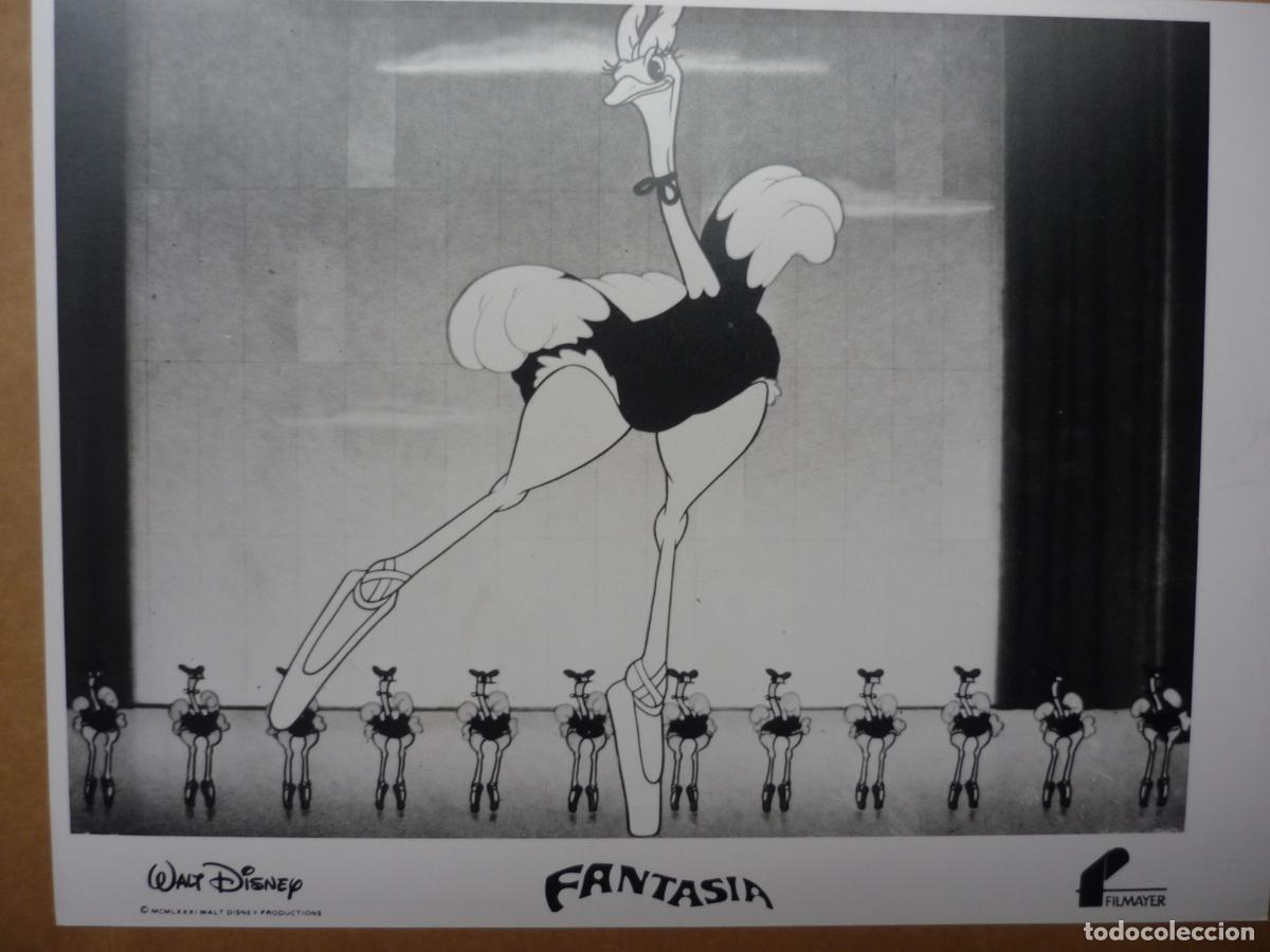 Cine: fantasia - foto original b/n - walt disney animation animation - filmayer