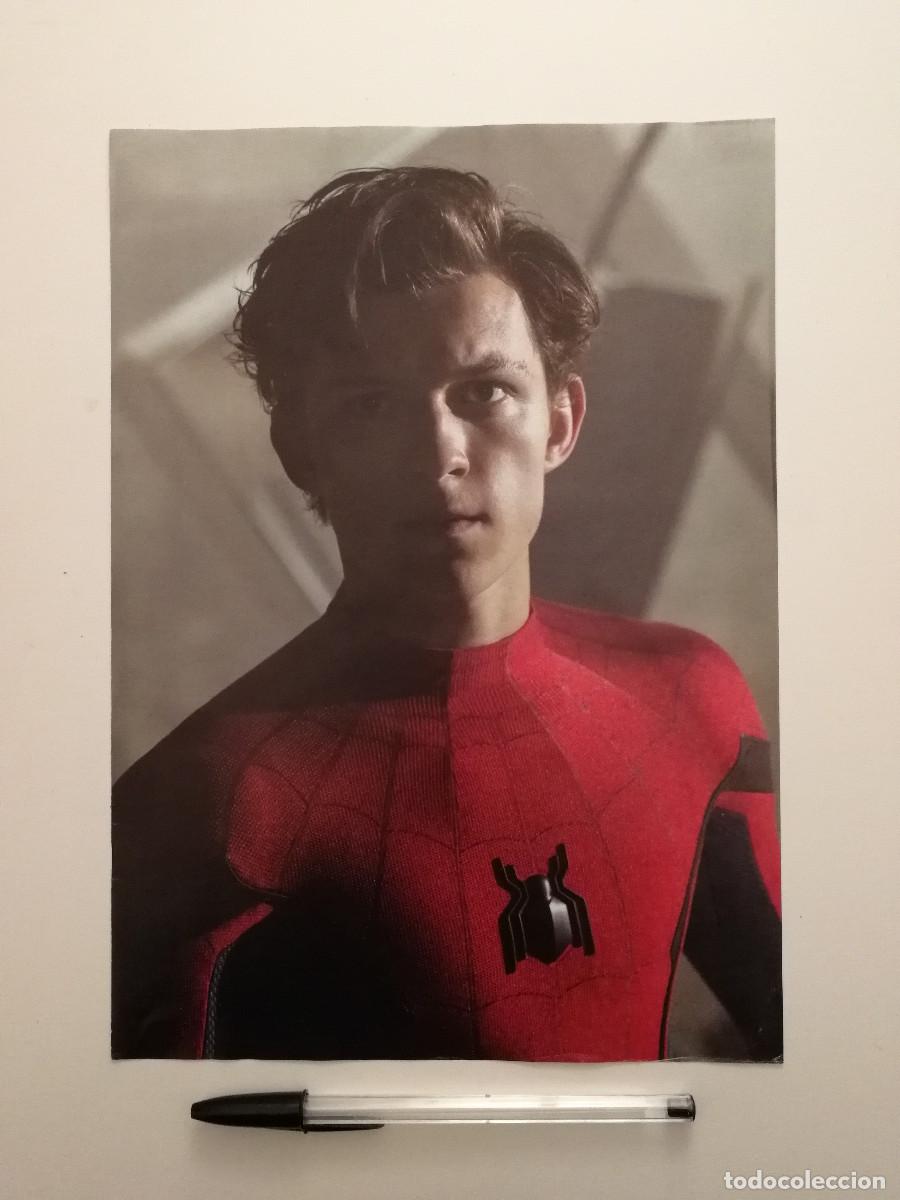 Kino: LAMINA ACARTONADA -A4- Spider-Man - SPIDERMAN - MARVEL - TOM HOLLAND