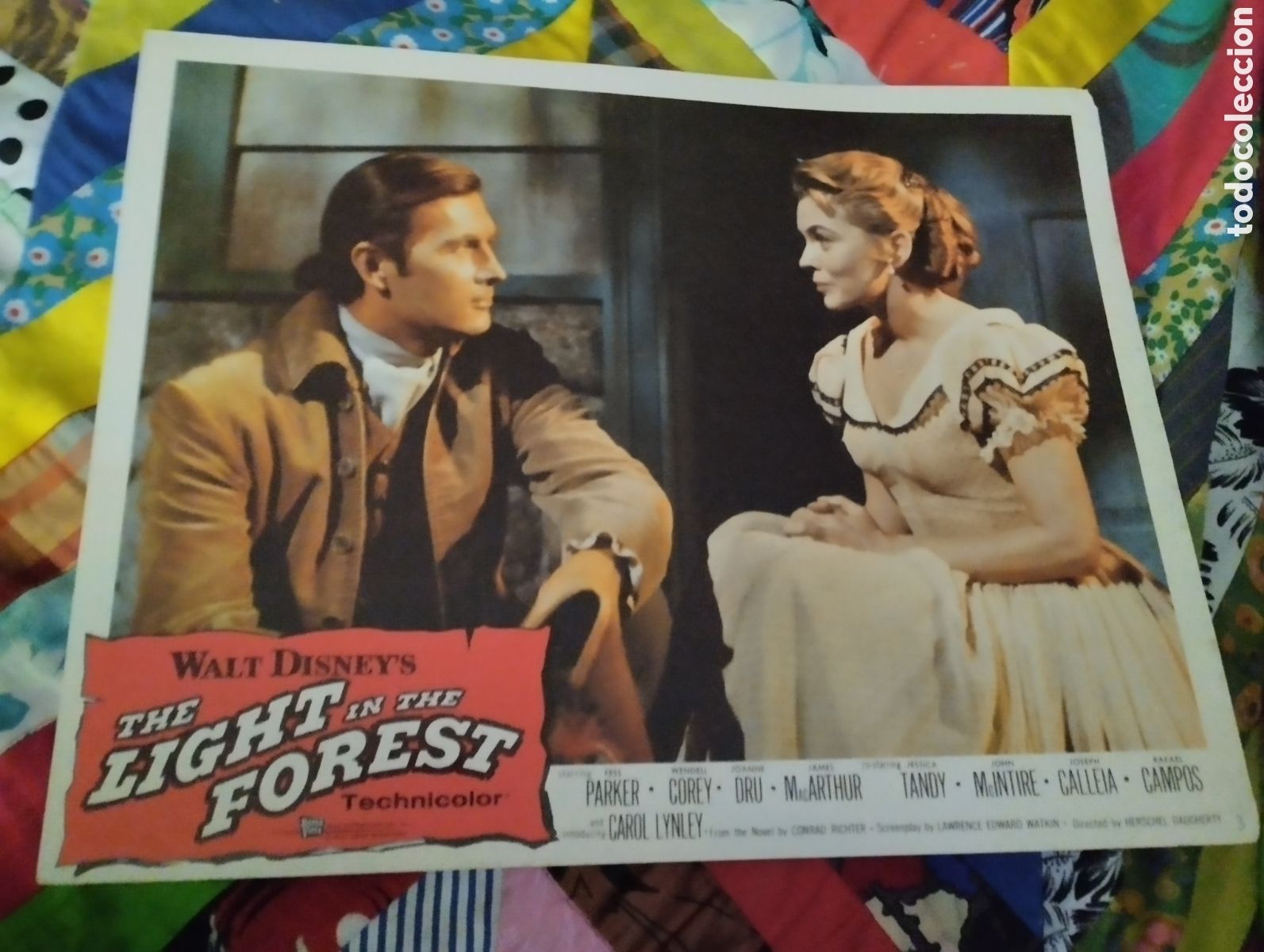 Cinema: 1 LOBBY CARD AMERICANO - FULGOR EN LA ESPESURA 1958