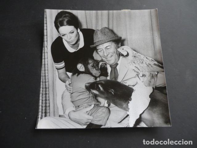 Cinema: REX HARRISON CON RACHEL ROBERTS ACTOR ANTIGUA FOTOGRAFIA 18 X 18 CM