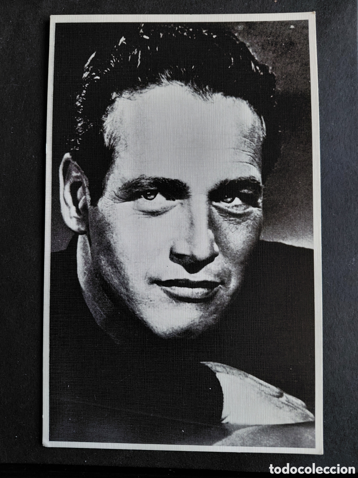 Cine: PAUL NEWMAN- PRODECO SERIE ARTISTAS- M.B.N.1 (19&times;12CM)-1982