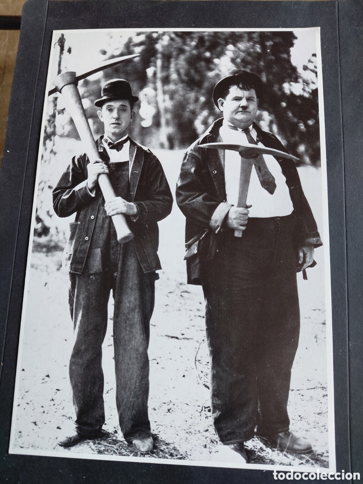 Cine: EL GORDO Y EL FLACO- STAN LAUREL Y OLIVER HARDY -PRODECO-1982- M.B.N.8 (27&times;18CM)