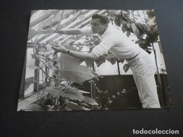 Cinema: DIRK BOGARDE ACTOR ANTIGUA FOTOGRAFIA 15,5 X 19 CM