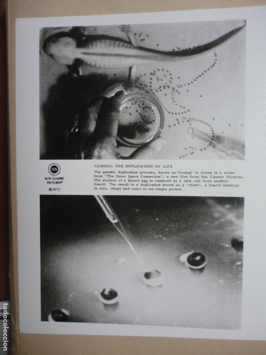 Cine: conexion con los extraterrestres - foto b/n original usa The Outer Space Connection Fred Warshofsky