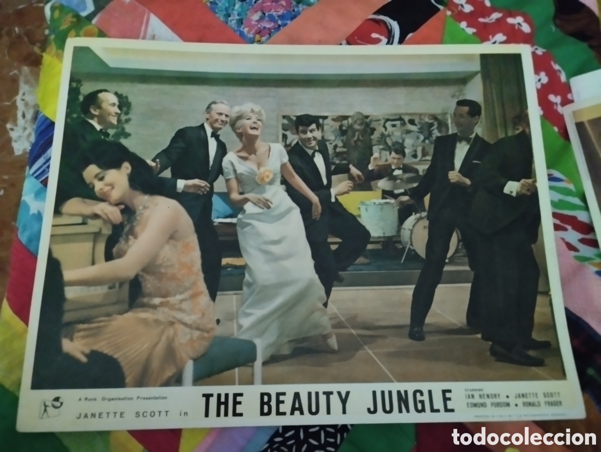 Cine: LOBBY CARD AMERICANO - LA JUNGLA DE LA BELLEZA 1964