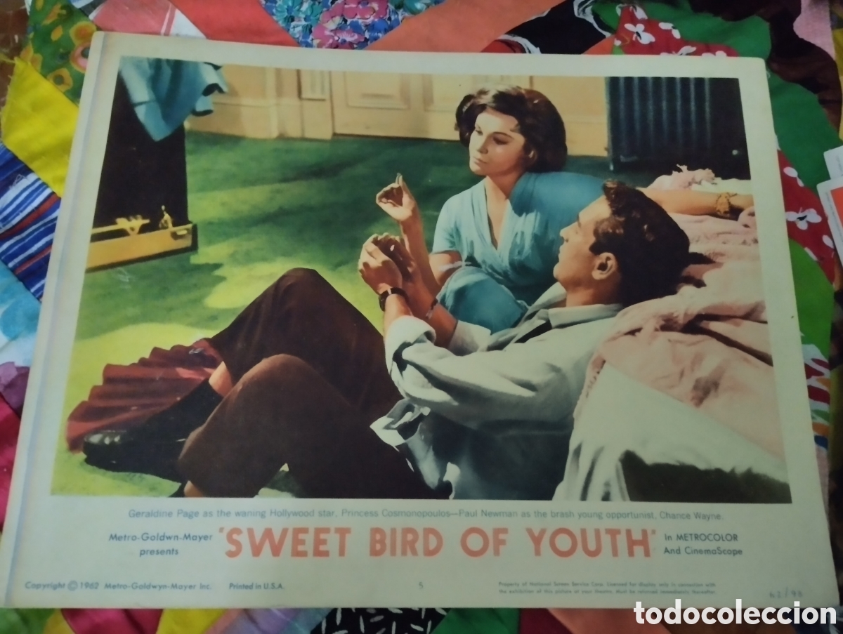Cine: LOBBY CARD AMERICANO - DULCE PAJARO DE JUVENTUD 1962