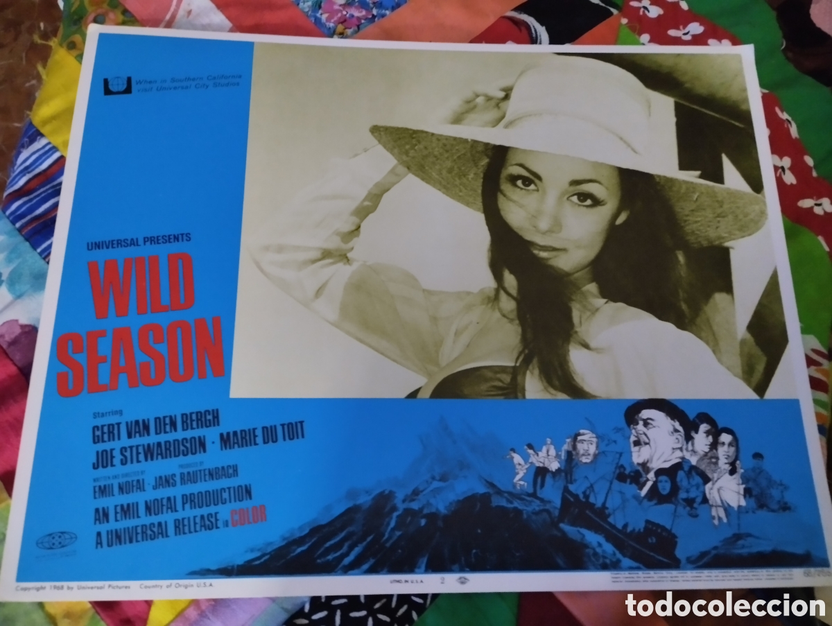 Cine: LOBBY CARD AMERICANO - TEMPORADA SALVAJE 1967