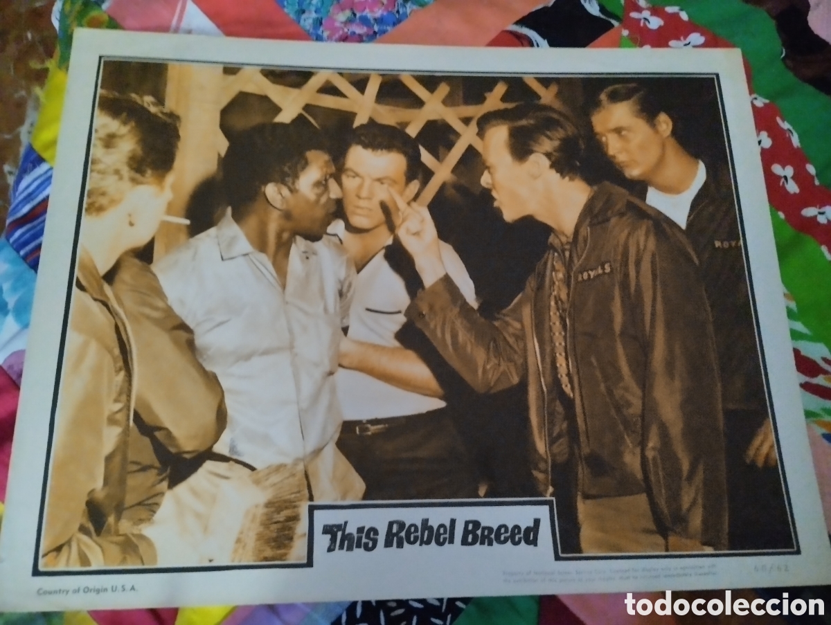 Cine: LOBBY CARD AMERICANO - THIS REBEL BREED 1960