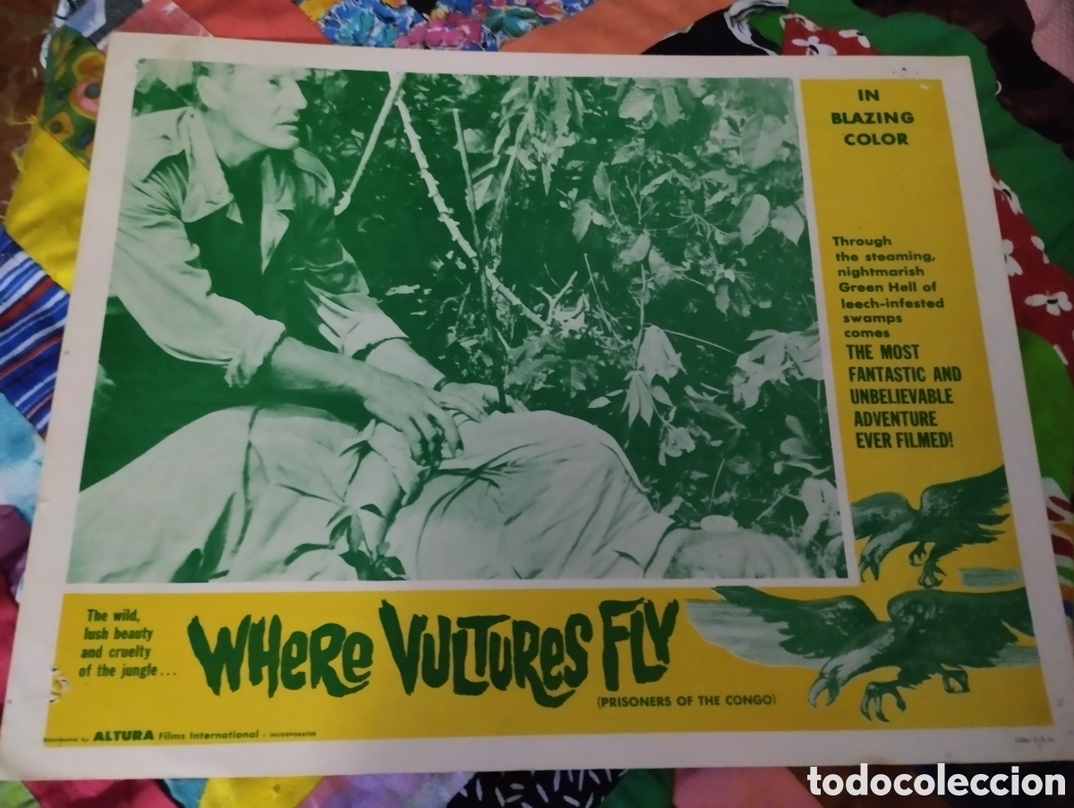 Cine: LOBBY CARD AMERICANO - PRISIONEROS EN LA SELVA 1960