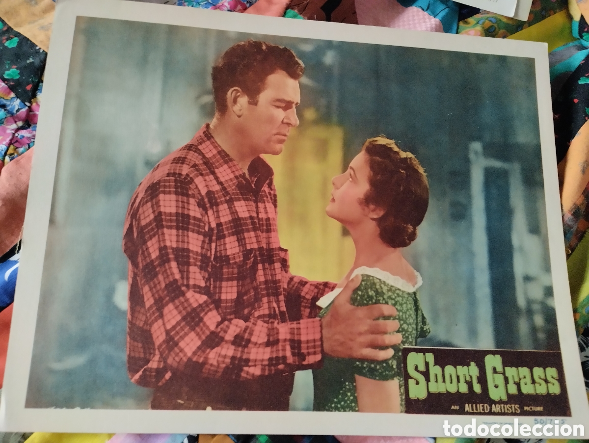 Cine: LOBBY CARD AMERICANO - PASTO CORTO 1950