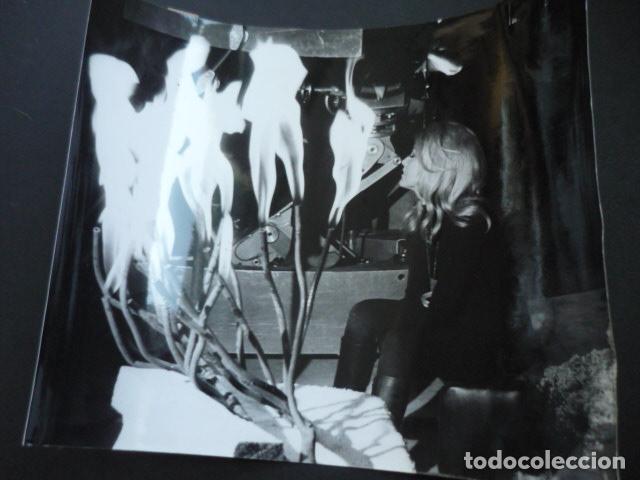 Kino: SHARON TATE ACTRIZ ANTIGUA FOTOGRAFIA 18 X 24 CM