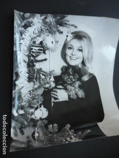Cinema: SHARON TATE ACTRIZ ANTIGUA FOTOGRAFIA 18 X 24 CM