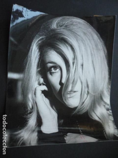 Kino: SHARON TATE ACTRIZ ANTIGUA FOTOGRAFIA 18 X 24 CM