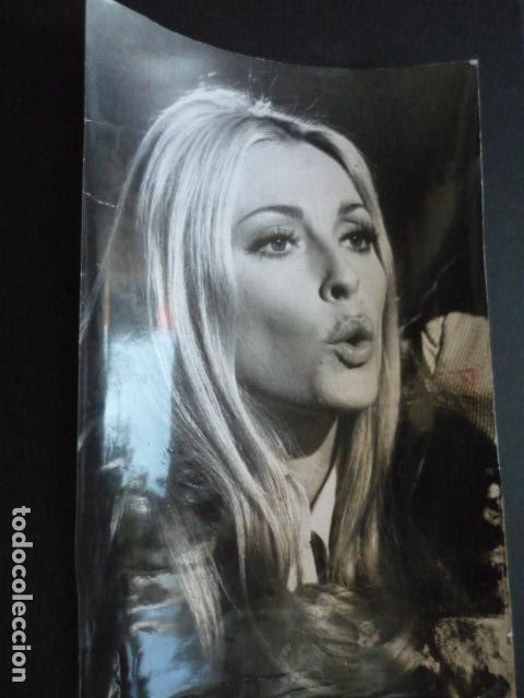 Cine: SHARON TATE ACTRIZ ANTIGUA FOTOGRAFIA 30 X 24 CM
