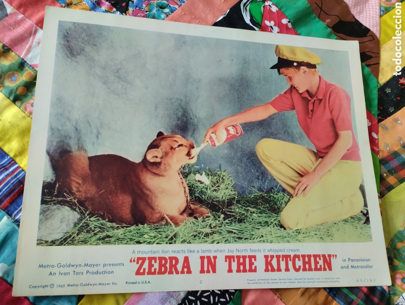 Cinema: 8 LOBBY CARDS AMERICANOS - UNA CEBRA EN LA COCINA 1965