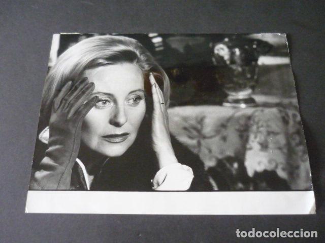 Cine: MICHELE MORGAN ACTRIZ ANTIGUA FOTOGRAFIA 18 X 24 CM