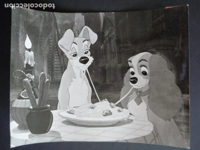 Kino: ESCENA PELICULA LA DAMA Y EL VAGABUNDO ANTIGUA FOTOGRAFIA 18 X 24 CM