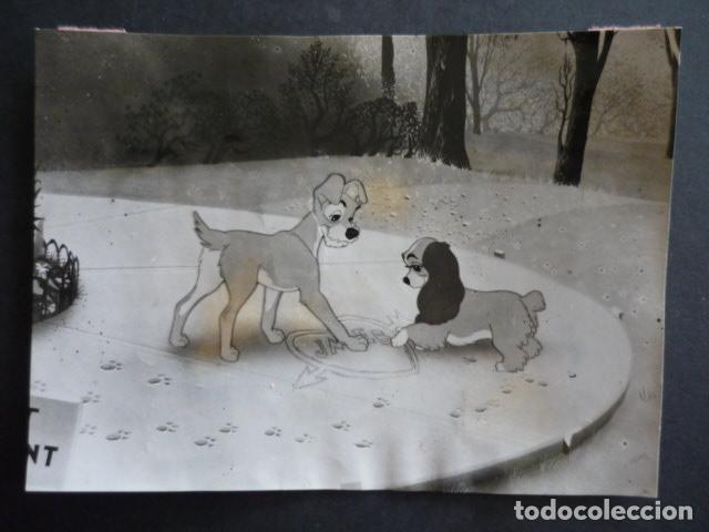 Kino: ESCENA PELICULA LA DAMA Y EL VAGABUNDO ANTIGUA FOTOGRAFIA 12 X 17 CM