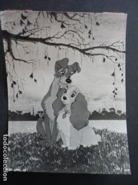 Kino: ESCENA PELICULA LA DAMA Y EL VAGABUNDO ANTIGUA FOTOGRAFIA 12 X 17 CM