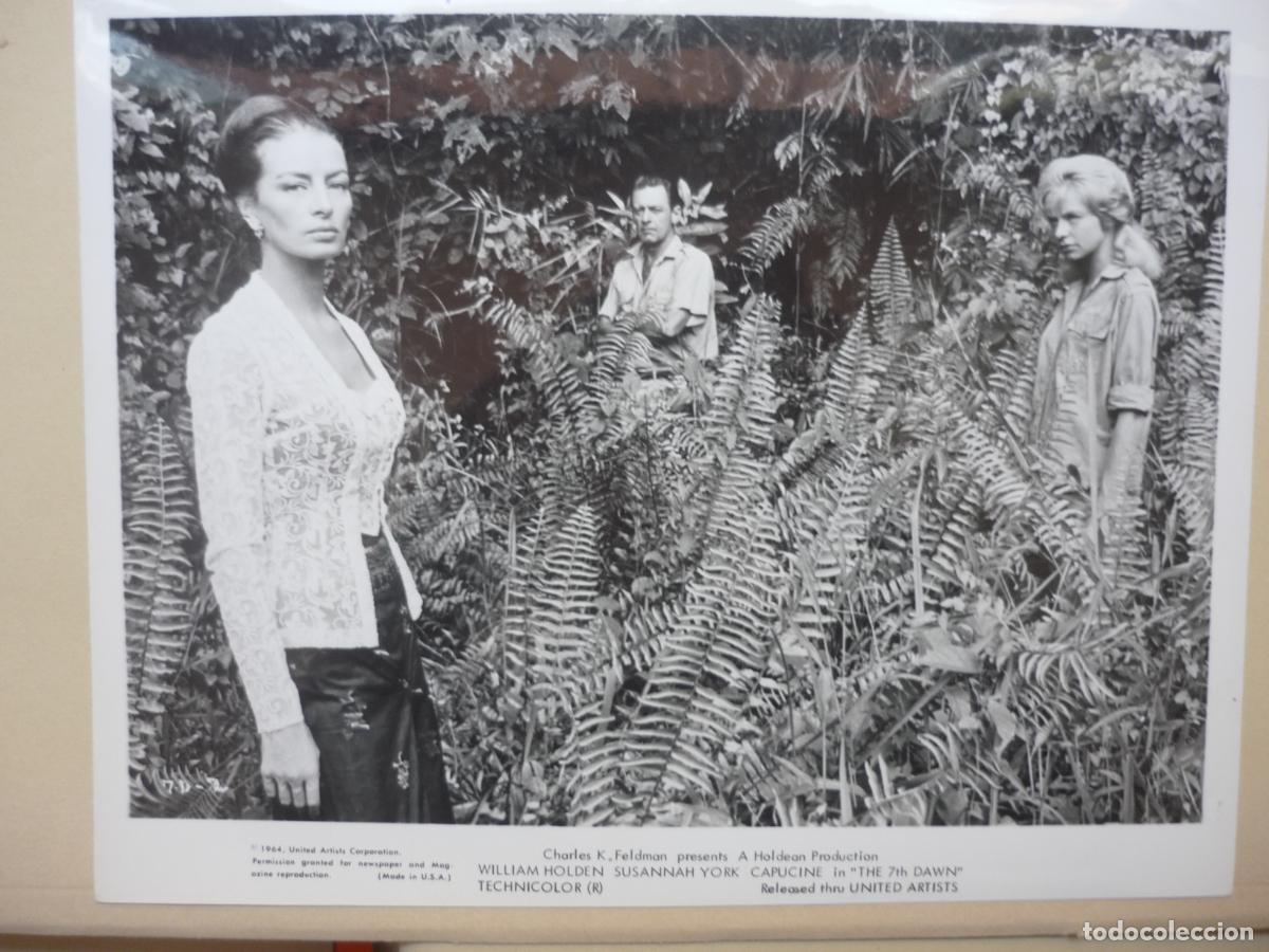 Cine: el septimo amanecer - foto original b/n - william holden capucine susannah york The 7th Dawn