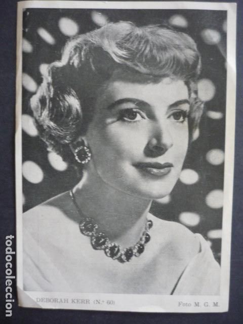 Cine: DEBORAH KERR ACTRIZ CROMO 17 X 12 CM