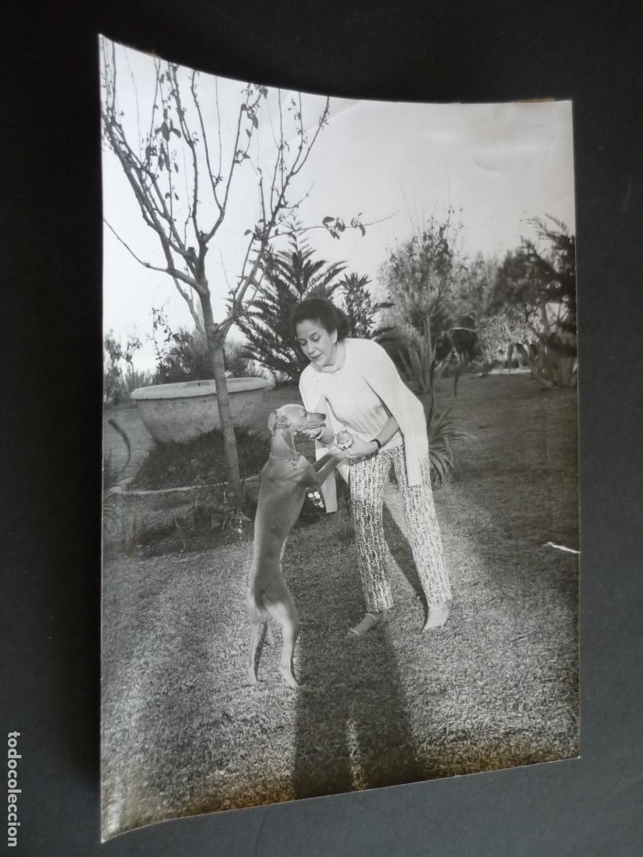 Cine: CONCHITA MONTES ACTRIZ ANTIGUA FOTOGRAFIA 24 X 18 CM