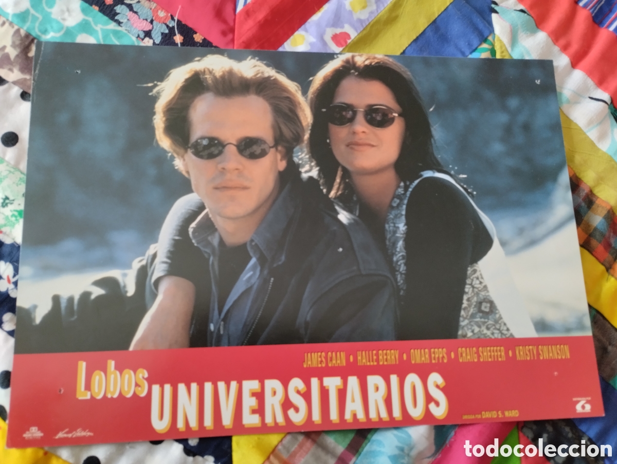 Cine: 6 FOTOCROMOS - LOBOS UNIVERSITARIOS