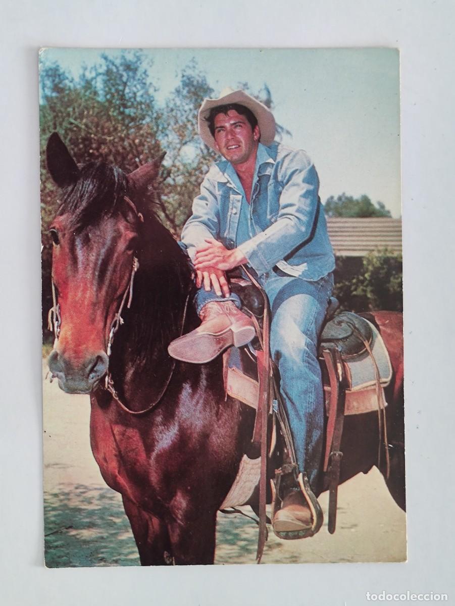 Cine: POSTAL 18018 NUEVA-POSTAL OSCARCOLOR 375 VAN WILLIAMS -CINE CABALLO FAUNA