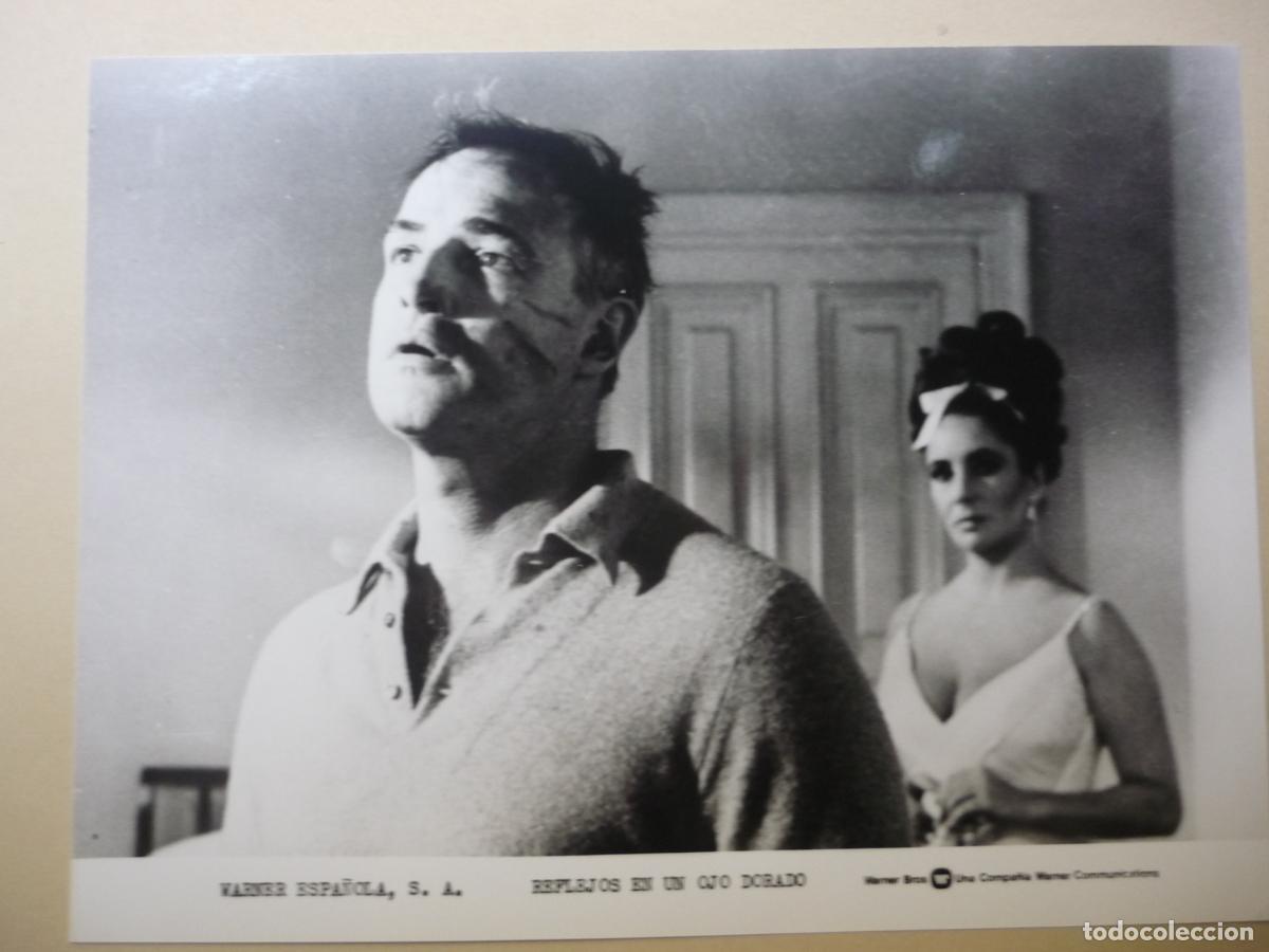 Cine: elizabeth taylor marlon brando - foto original b/n - reflejos en un ojo dorado john huston
