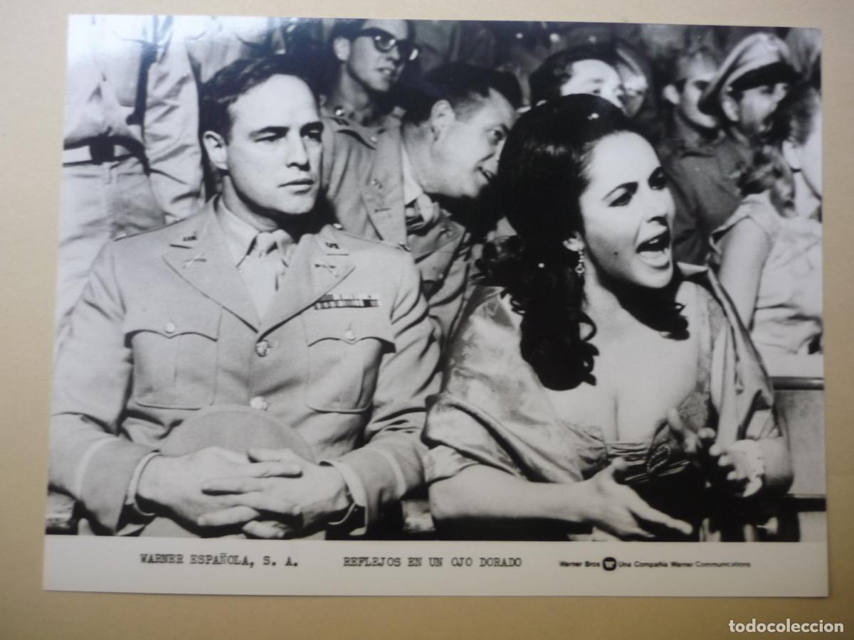 Cine: elizabeth taylor marlon brando - foto original b/n - reflejos en un ojo dorado john huston