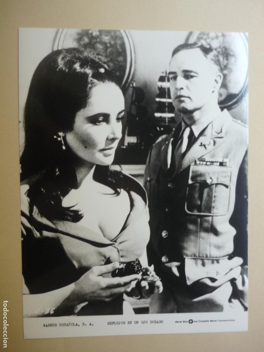 Cine: elizabeth taylor marlon brando - foto original b/n - reflejos en un ojo dorado john huston