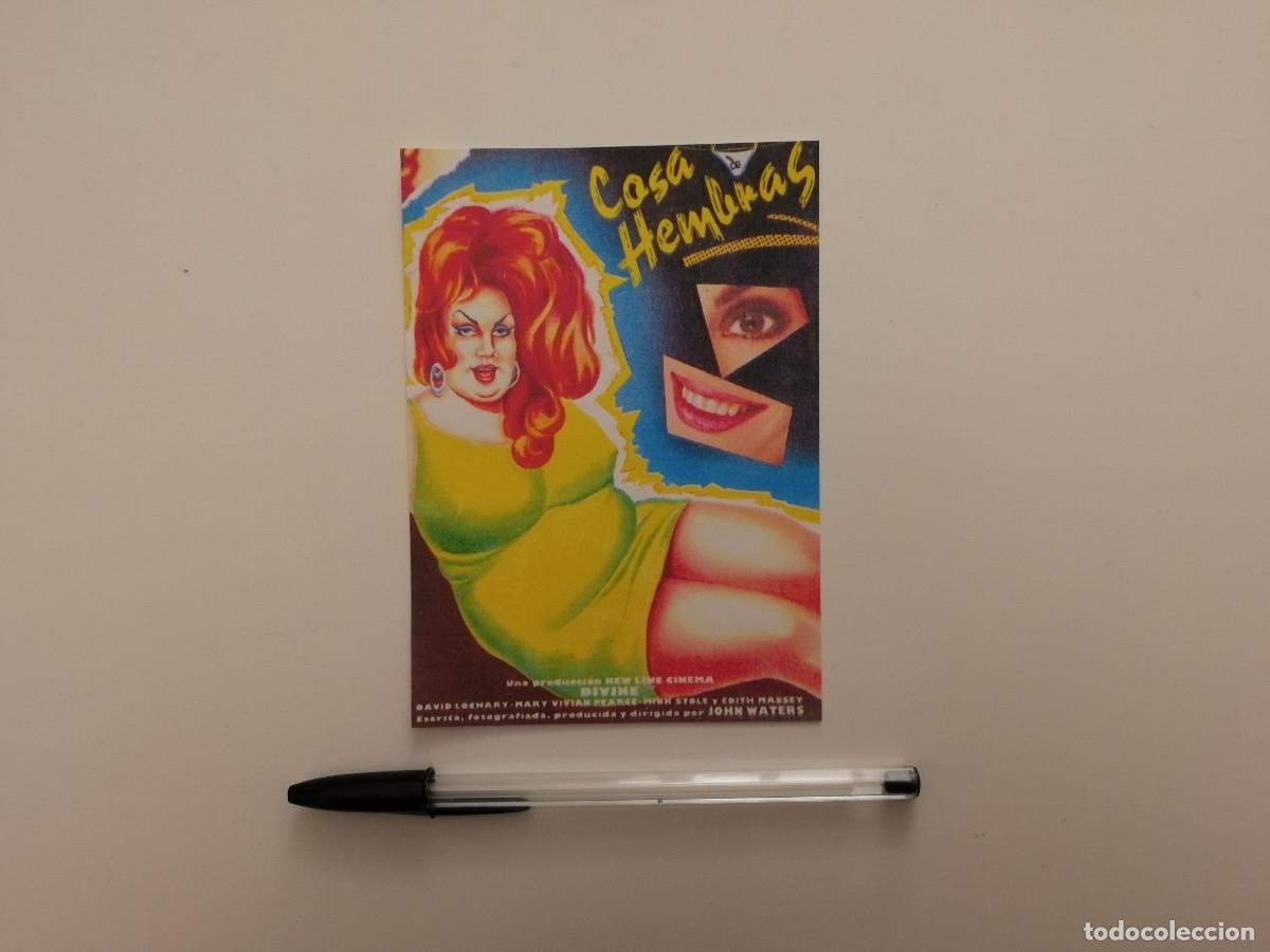 Cine: IMPRESO PAPEL -10*15- COSA DE HEMBRAS- DIVINE - JOHN WATERS - CINE TRASH