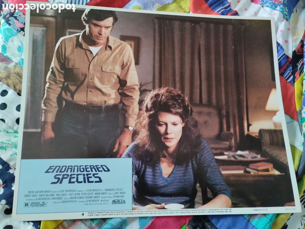 Cine: LOBBY CARDS AMERICANOS - EN PELIGRO DE EXTINCI&Oacute;N 2021