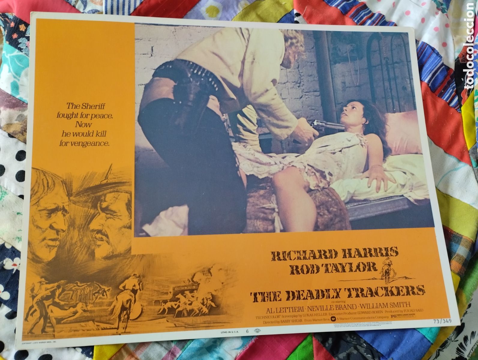 Cine: LOBBY CARD AMERICANO - CON FURIA EN LA SANGRE 1973