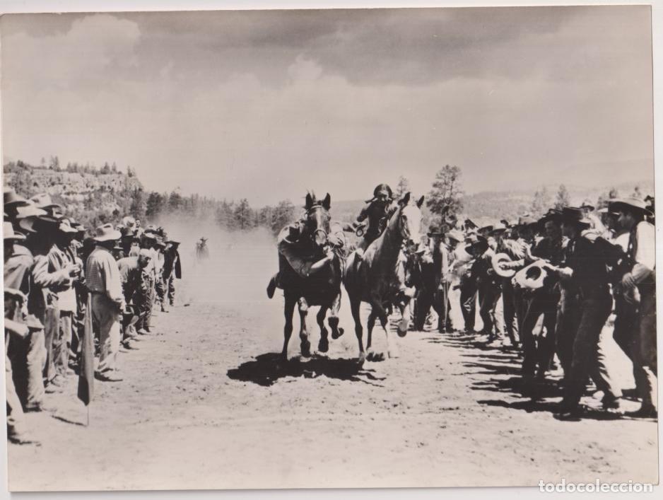 Cine: Duelo en el Barro. Fotocromo. Fotograf&iacute;a (18x24) de Don Murray. 1959. Al dorso tamp&oacute;n Ministerio de