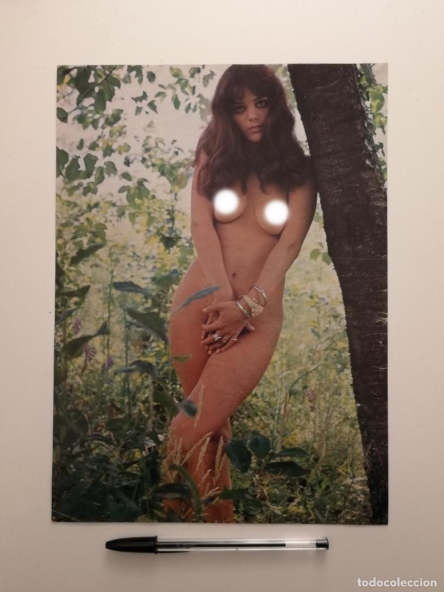 Cine: ANTIGUA LAMINA ENCARTONADA -A4- Tina Aumont