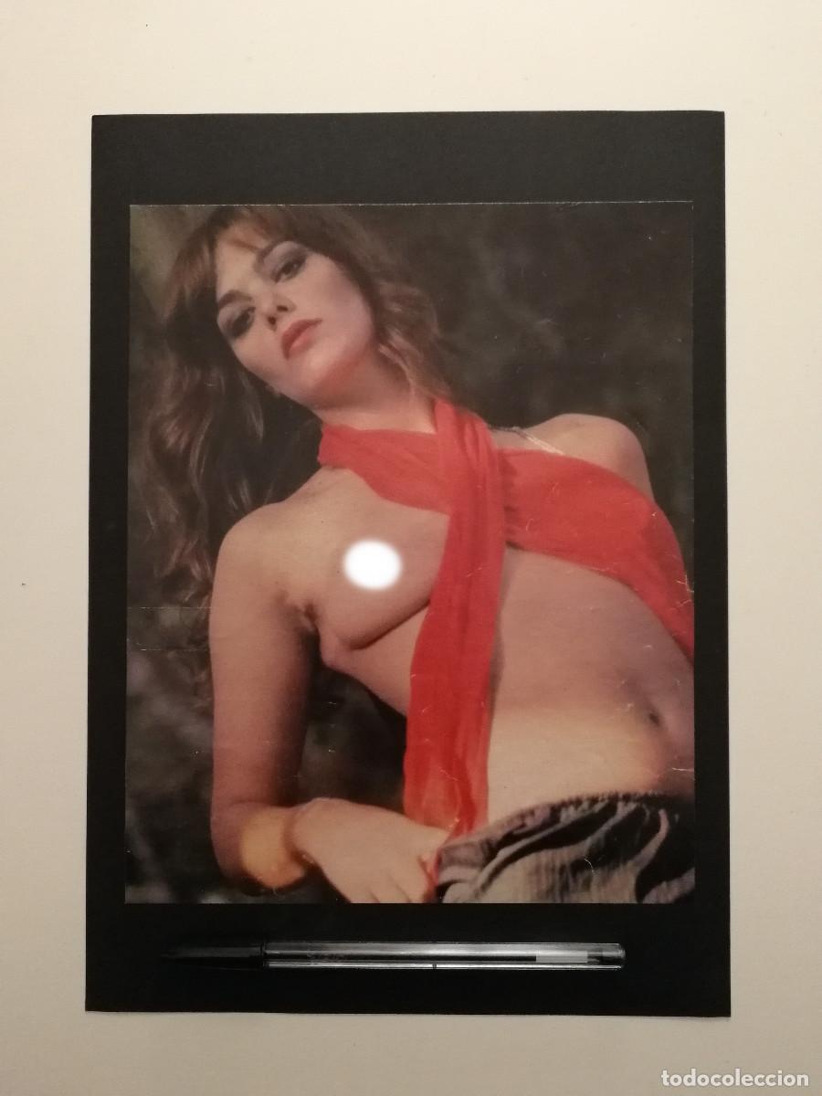 Cine: ANTIGUA LAMINA ENCARTONADA - Tina Aumont